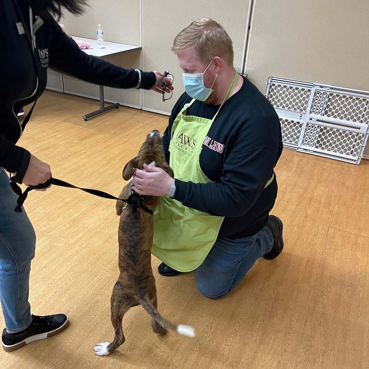 Will Turner, wearing a blue mask and a light green PAWS apron, kneels on the floor with a happy puppy while a PAWS staffer holds the leash and Will's glasses
