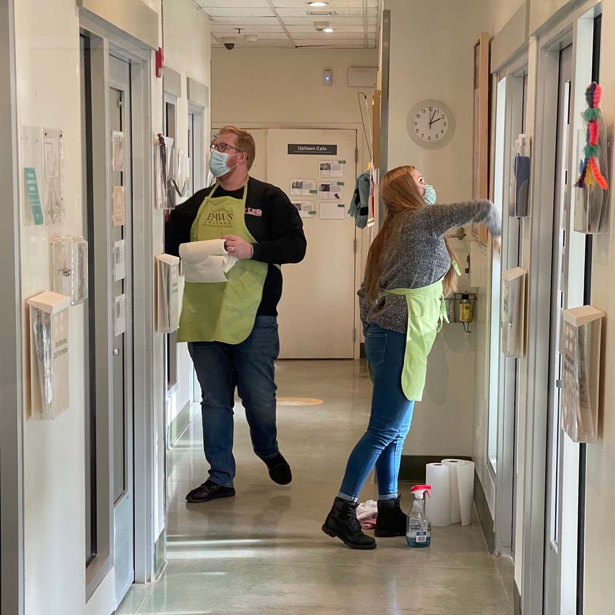 Will Turner and Jessica Hucek, wearing light green PAWS aprons, clean walls and windows in a hallway at the animal shelter