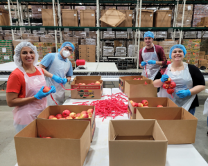 Credico team members wearing aprons, gloves, and hairnets pause to smile for a photo while packing apples at a volunteer event at the Greater Chicago Food Depository. From left to right: Anabella Gabaldon, Commissions Analyst; Jason Wu, Assistant Corporate Counsel, Michael Fergus, Assistant Commissions Manager, and Taylor Spotswood, Commissions Analyst.